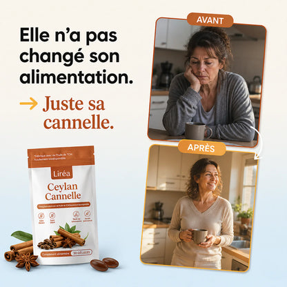 Cannelle de Ceylan 12:1 + Huile MCT